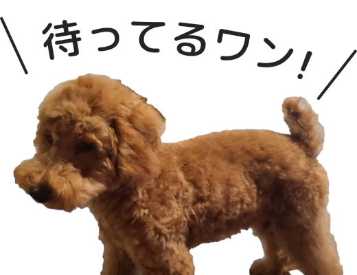 待ってるワン！